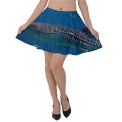Whale Shark 1 Velvet Skater Skirt by trendistuff