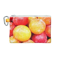 Apricots 1 Canvas Cosmetic Bag (medium) by trendistuff