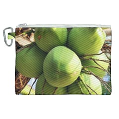 Coconuts 1 Canvas Cosmetic Bag (xl) by trendistuff