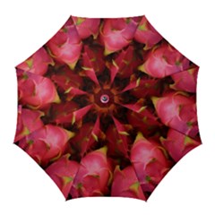 Dragonfruit Golf Umbrellas by trendistuff