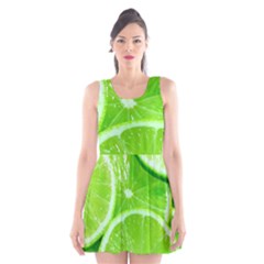 Limes 2 Scoop Neck Skater Dress by trendistuff