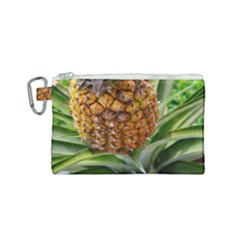 Pineapple 2 Canvas Cosmetic Bag (small) by trendistuff