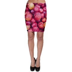 Plums 1 Bodycon Skirt by trendistuff