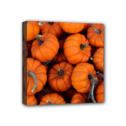 Pumpkins 2 Mini Canvas 4  X 4  by trendistuff