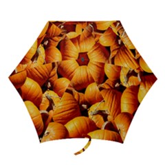 Pumpkins 3 Mini Folding Umbrellas by trendistuff