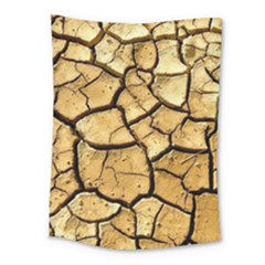 Dry Ground Medium Tapestry