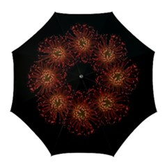 Red Flower Blooming In The Dark Golf Umbrellas by Sapixe