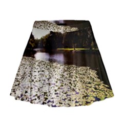 Highland Park 6 Mini Flare Skirt by bestdesignintheworld