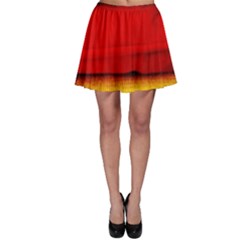 Colors And Fabrics 7 Skater Skirt