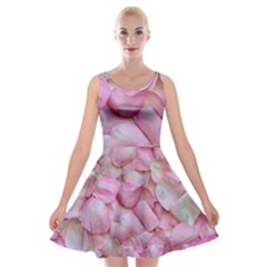 Romantic Pink Rose Petals Floral  Velvet Skater Dress by yoursparklingshop