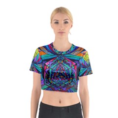 Coherence - Cotton Crop Top