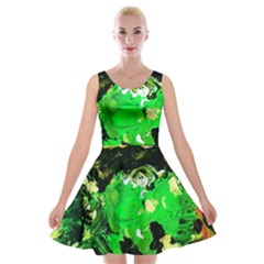 Old Tree And House With An Arch 6 Velvet Skater Dress by bestdesignintheworld