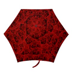 Romantic Red Rose Mini Folding Umbrellas by LoolyElzayat