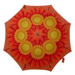 Flower Plant Petal Summer Color Hook Handle Umbrellas (medium) by Sapixe