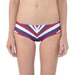 Us United States Red White And Blue American Zebra Strip Classic Bikini Bottoms by PodArtist
