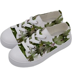 Leaves Plant Branch Nature Foliage Kids  Low Top Canvas Sneakers