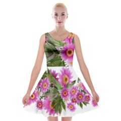 Daisies Flowers Arrangement Summer Velvet Skater Dress by Sapixe