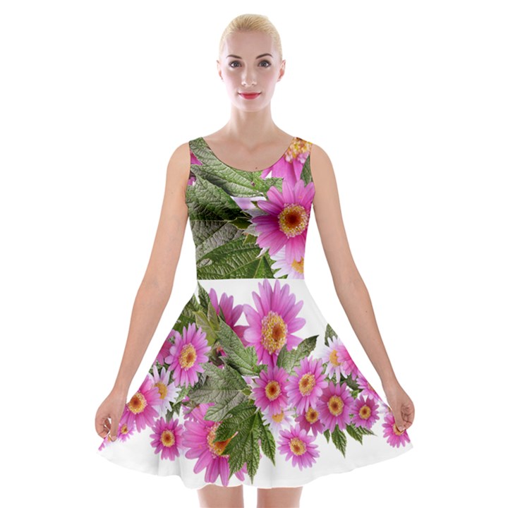 Daisies Flowers Arrangement Summer Velvet Skater Dress