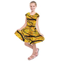 Golden Vein Kids  Short Sleeve Dress