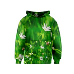 Inside The Grass Kids  Pullover Hoodie