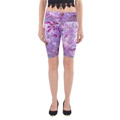 Pink Lilac Flowers Yoga Cropped Leggings by FunnyCow