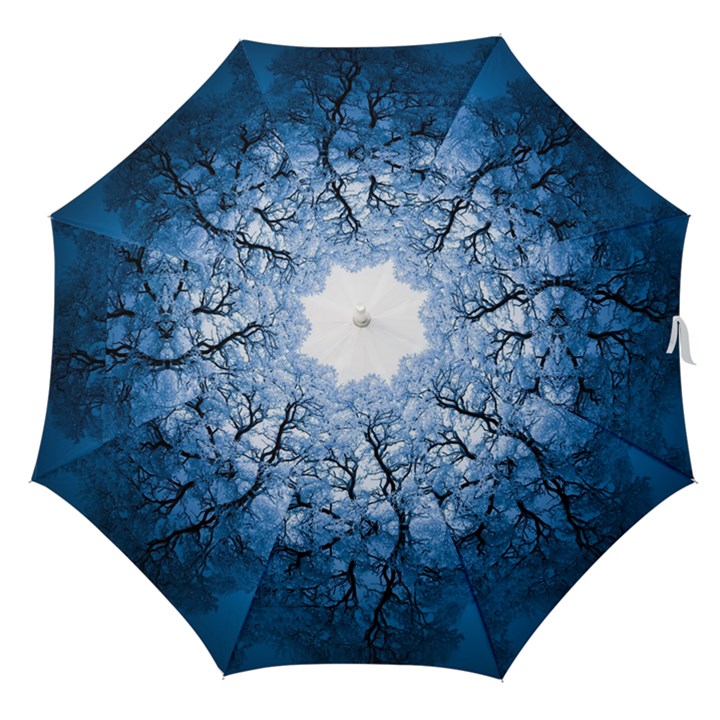 Nature Inspiration Trees Blue Straight Umbrellas