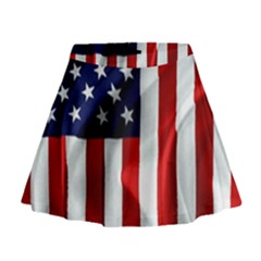 American Usa Flag Vertical Mini Flare Skirt by FunnyCow