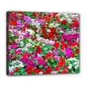 Colorful Petunia Flowers Deluxe Canvas 24  x 20   View1