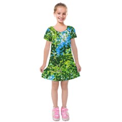 Forest   Strain Towards The Light Kids  Short Sleeve Velvet Dress by FunnyCow