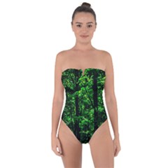 Emerald Forest Tie Back One Piece Swimsuit by FunnyCow