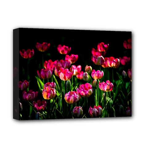 Pink Tulips Dark Background Deluxe Canvas 16  X 12   by FunnyCow