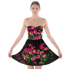 Pink Tulips Dark Background Strapless Bra Top Dress by FunnyCow