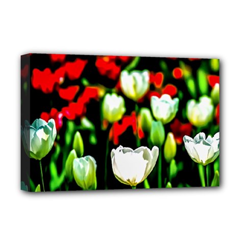 White And Red Sunlit Tulips Deluxe Canvas 18  X 12   by FunnyCow