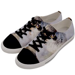 Do Not Mess With Sparrows Men s Low Top Canvas Sneakers by FunnyCow