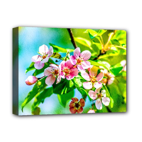 Crab Apple Flowers Deluxe Canvas 16  X 12   by FunnyCow