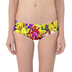 Viola Tricolor Flowers Classic Bikini Bottoms by FunnyCow