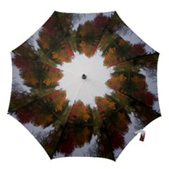 Autumn Pond Hook Handle Umbrellas (small) by IIPhotographyAndDesigns