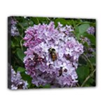 Lilac Bumble Bee Canvas 14  x 11 