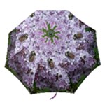 Lilac Bumble Bee Folding Umbrellas