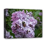 Lilac Bumble Bee Deluxe Canvas 16  x 12  