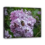 Lilac Bumble Bee Deluxe Canvas 20  x 16  