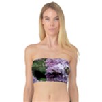 Lilac Bumble Bee Bandeau Top