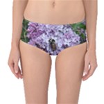 Lilac Bumble Bee Mid-Waist Bikini Bottoms