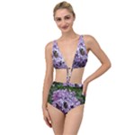 Lilac Bumble Bee Tied Up Two Piece Swimsuit