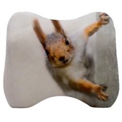 Curious Squirrel Velour Head Support Cushion by FunnyCow