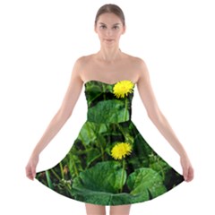 Yellow Dandelion Flowers In Spring Strapless Bra Top Dress by FunnyCow