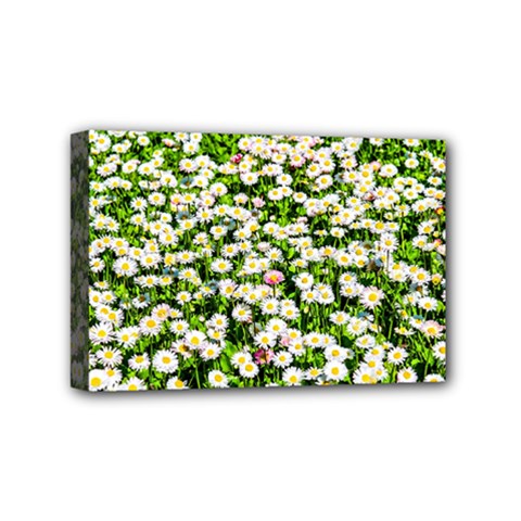 Green Field Of White Daisy Flowers Mini Canvas 6  X 4  by FunnyCow