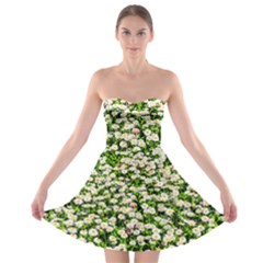 Green Field Of White Daisy Flowers Strapless Bra Top Dress by FunnyCow