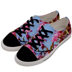 Crab Apple Blossoms Men s Low Top Canvas Sneakers by FunnyCow