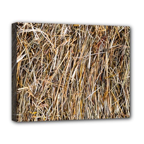 Dry Hay Texture Deluxe Canvas 20  X 16   by FunnyCow